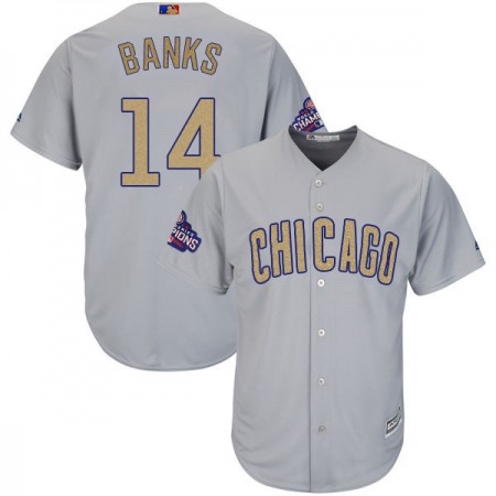 Men's Chicago Cubs #14 Ernie Banks World Series Champions Grey Program Cool Base Stitched MLB Jersey