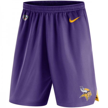 Men's Minnesota Vikings Nike Purple Knit Performance Shorts