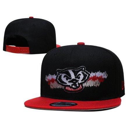 Wisconsin Badgers Snapback Hat