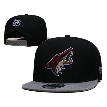 Arizona Coyotes Snapback Hat